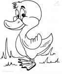 Kostenloser Webspace von megenon