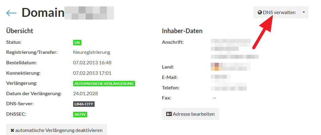DNS-Verwaltung über "Domains" öffnen