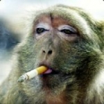 Kostenloser Webspace von ajay85