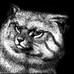 Kostenloser Webspace von wiese2