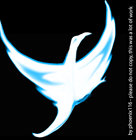 Kostenloser Webspace von phoenix116, auf Homepage erstellen warten
