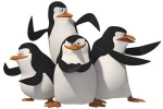 Kostenloser Webspace von booglo, auf Homepage erstellen warten