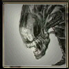 Kostenloser Webspace von dre4or