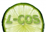 Kostenloser Webspace von l-cos